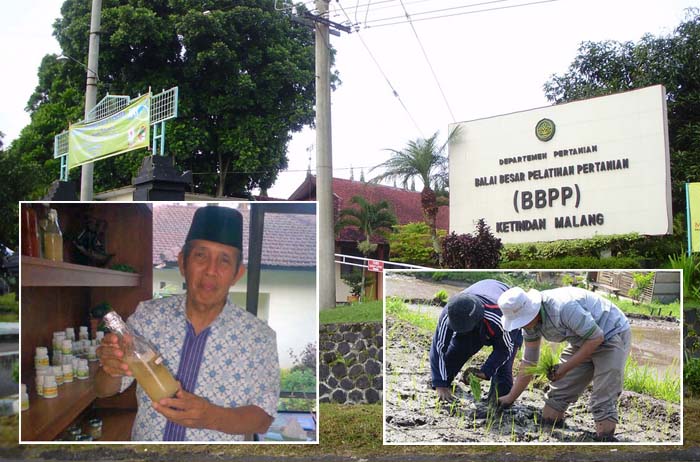 BBPP Ketindan Dukung Pengembangan Pertanian Modern